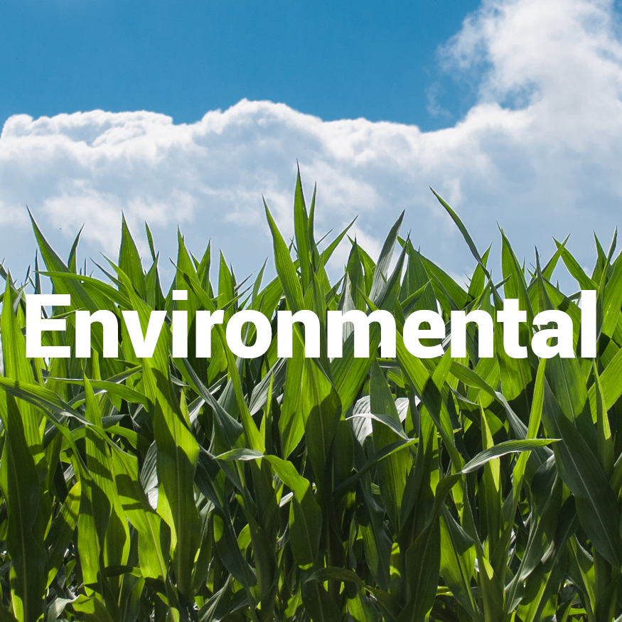 Corporate Responsibility - Environmental
