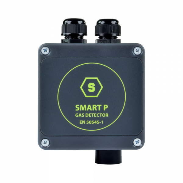 Sensitron Smart P-1 Fixed Car Park Gas Detector 