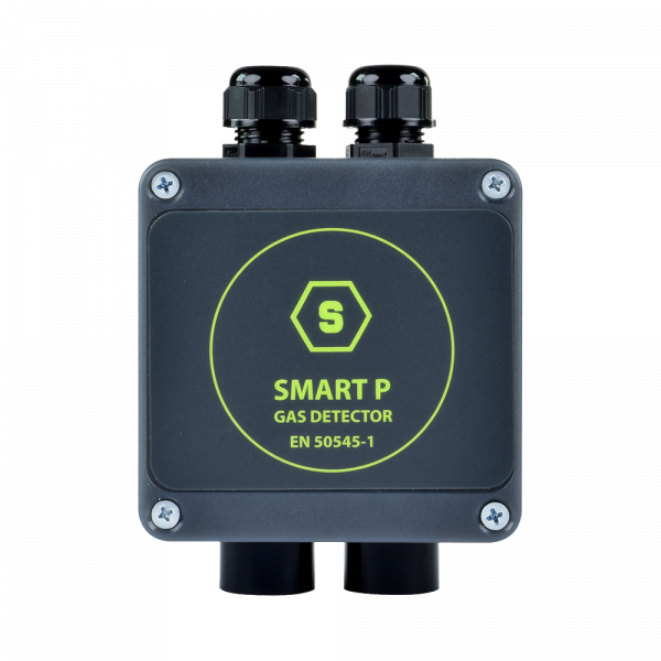 Sensitron Smart P-2 Fixed Car Park Gas Detector 